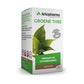 Arkocaps Groene Thee - Ondersteunt de vetstofwisseling