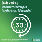 Nicorette Mondspray Fresh Mint – 13,2 ml | Stoppen met Roken