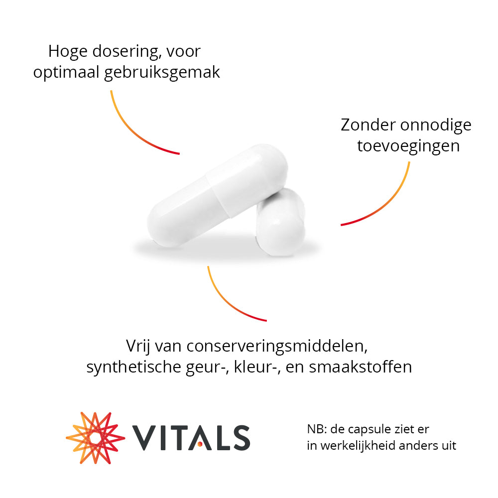 Vitals L-Lysine Capsules 500 mg – 60 stuks | Weerstand