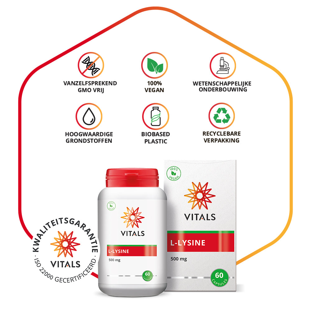 Vitals L-Lysine Capsules 500 mg – 60 stuks | Weerstand