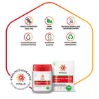 Vitals Vitamine B12 Capsules 1000 mcg – 100 stuks | Brein