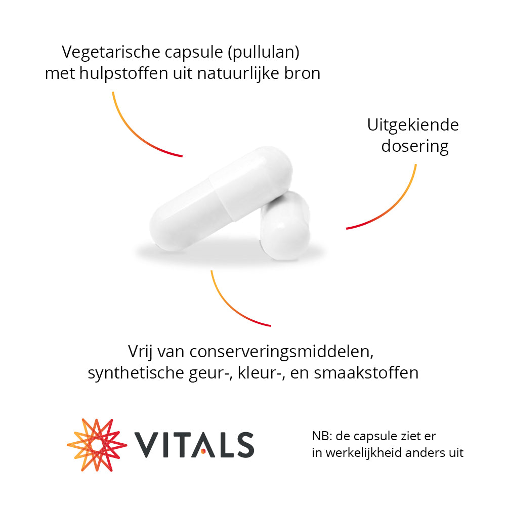 Vitals IJzer 25 mg met Vitamine C Capsules – 100 stuks | Weerstand