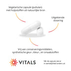 Vitals IJzer 25 mg met Vitamine C Capsules – 100 stuks | Weerstand