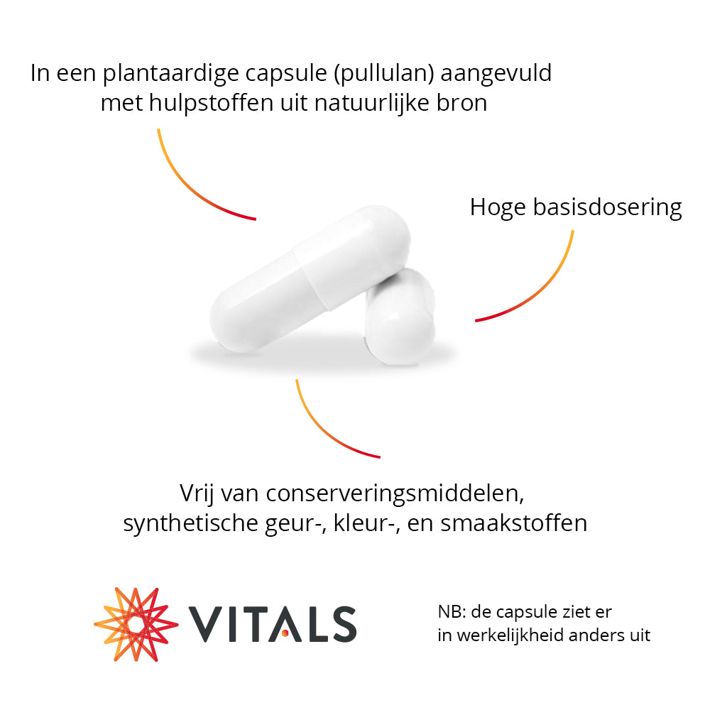 Vitals Microbiol Trio Basis Capsules – 60 stuks | Spijsvertering