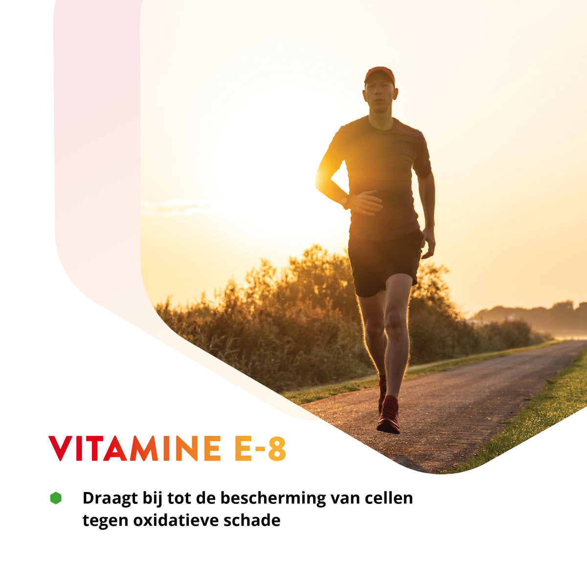 Vitals Vitamine E-8 Capsules – 60 stuks | Weerstand