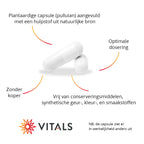 Vitals Zinkbisglycinaat Capsules 15 mg – 100 stuks | Weerstand